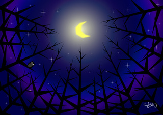 004森の月夜.jpg