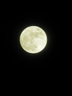 030911-2.jpg