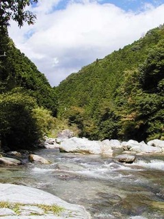 031012-1.jpg