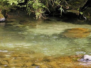 031012-2.jpg