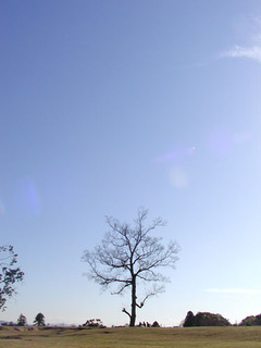 031118-1.jpg