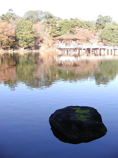 031118-3.jpg