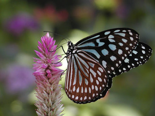 040112-3.jpg