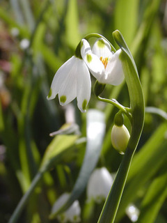 040328-1.jpg