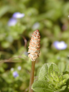 040328-2.jpg