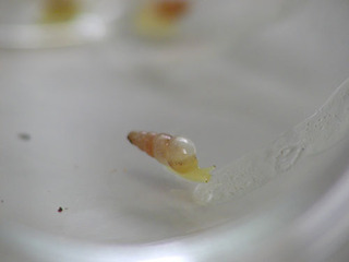 040725-1.jpg