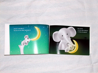 040803-2.jpg