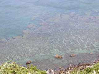 040819-1.jpg