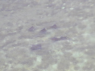 040819-2.jpg