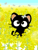 050309-2.gif