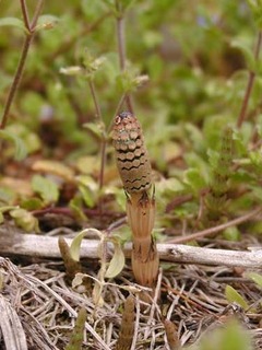 050327-1.jpg