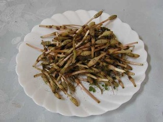 050327-2.jpg