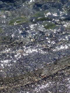 050411-2.jpg