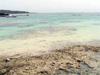 050411-3.jpg