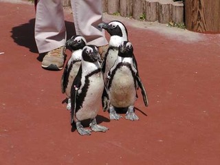 050417-2.jpg