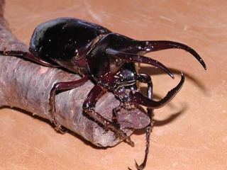 050423-2.jpg