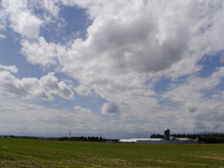 050829-1.jpg