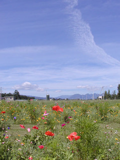 050829-2.jpg