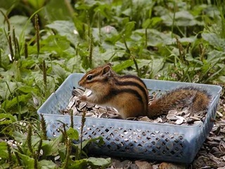 050829-4.jpg