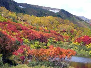 051003-1.jpg