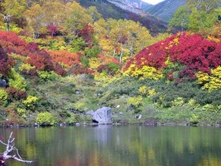 051003-3.jpg