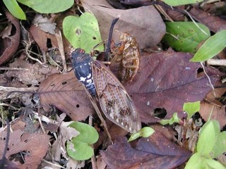 051009-1.jpg