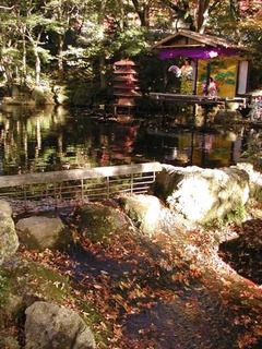051119-2.jpg