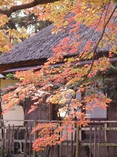 051120-1.jpg