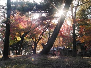 051120-2.jpg