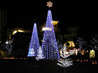 051222-2.jpg