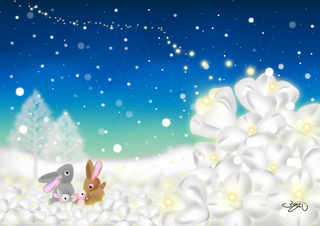 057Snow Flower.jpg