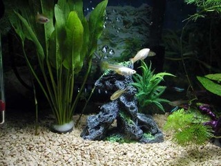 060201-1.jpg