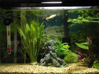 060201-3.jpg