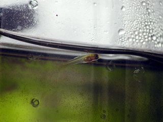 060314-2.jpg