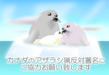 060403.jpg