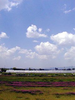 060504-1.jpg