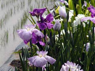060611-1.jpg