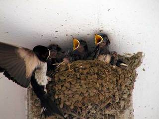 060611-3.jpg