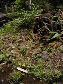 060803-2.jpg