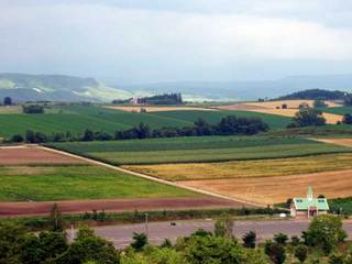 060803-4.jpg
