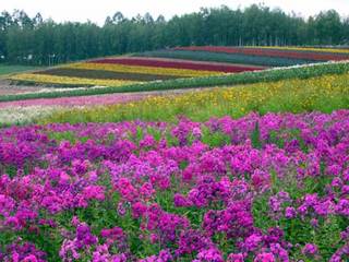 060803-5.jpg