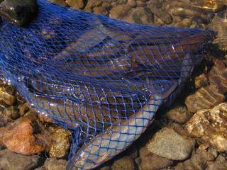 060805-3.jpg