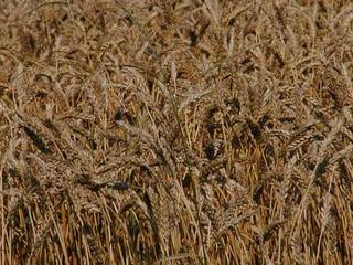 060805-4.jpg