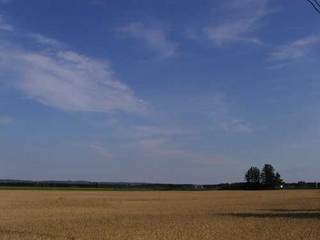 060805-5.jpg