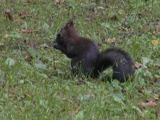 060806-1.jpg