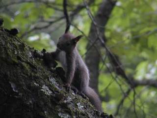 060806-3.jpg