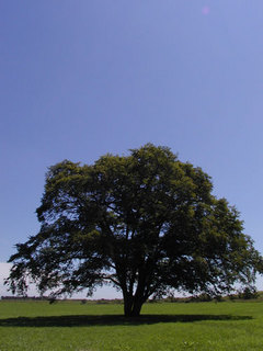 060813-1.jpg