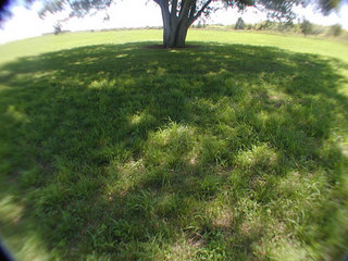 060813-2.jpg