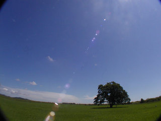 060813-3.jpg