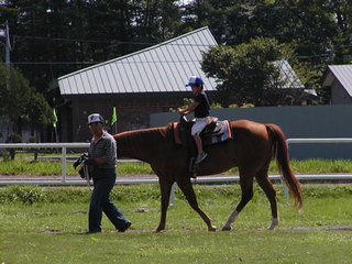 060814-1.jpg